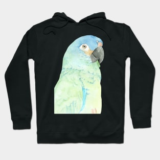 blue-winged macaw parrot portrait watercolor painting tropical pet v2 Hoodie